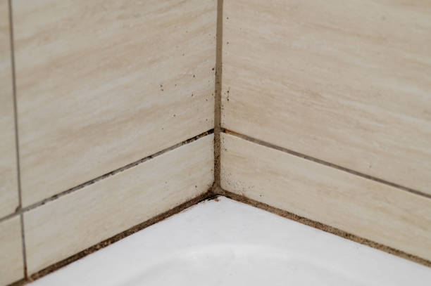 Un carreleur est un artisan qualifié. Il maîtrise les techniques liées au carrelage. En effet, son rôle dépasse la simple pose.